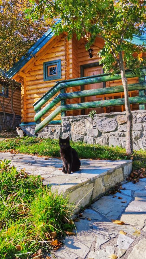 Kozak Apartments & Restaurant Mojkovac Exteriér fotografie